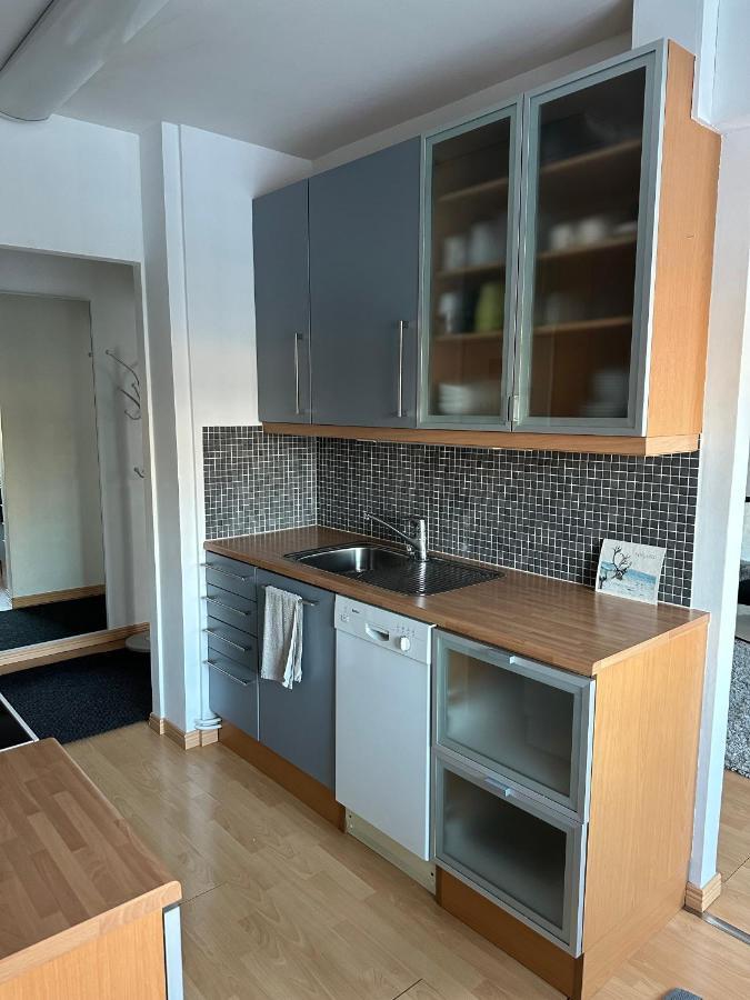 Sofia Rovaniemi City Apartment エクステリア 写真