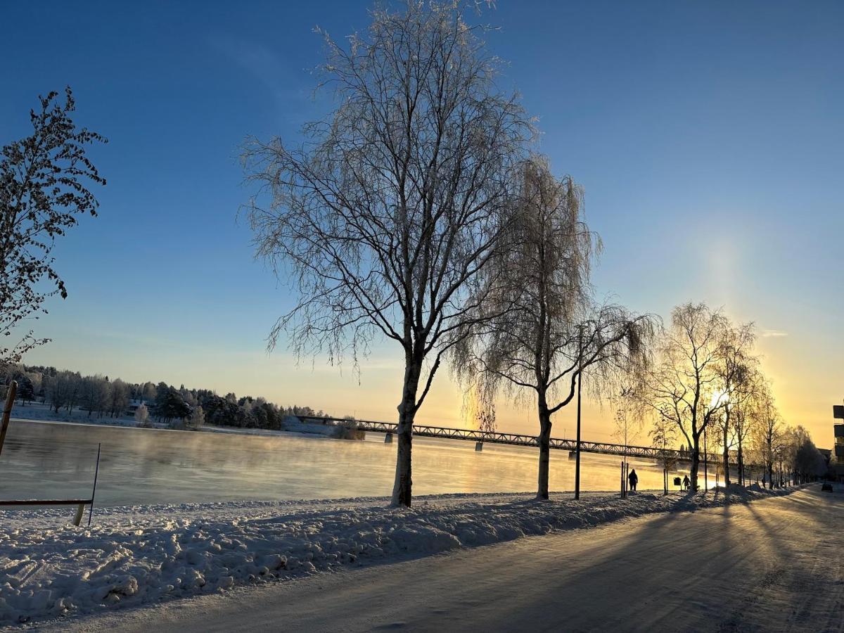 Sofia Rovaniemi City Apartment エクステリア 写真